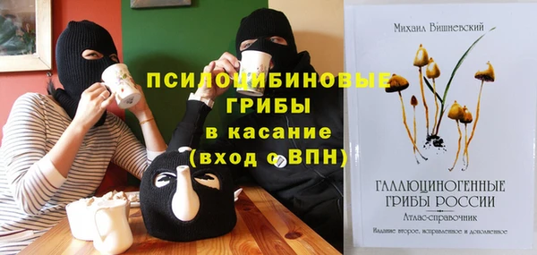 хмурый Вязники