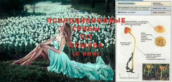 гашишное масло Вяземский