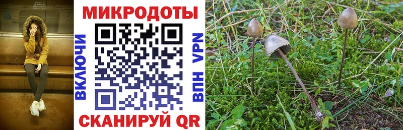Купить закладки  Бородино  Псилоцибиновые грибы Psilocybine cubensis 